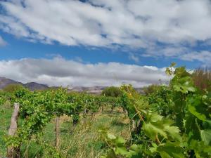 Naturlandskabet i nærheden af landstedet