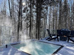 einen Whirlpool im Schnee im Wald in der Unterkunft Le Baumier - Luxe et Spa in Pont-Rouge
