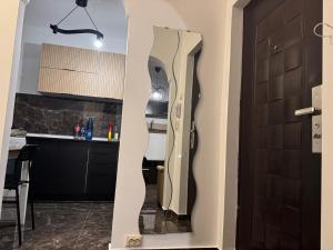 Køkken eller tekøkken på Luxury Rareș & Anastasia Apartment