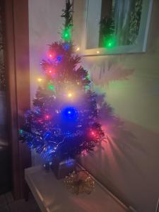 a christmas tree sitting on a table with lights at SWEET STAY - WiFi gratuito, Metro vicinanze, Garage & Bikes - su richiesta in Cassina deʼ Pecchi