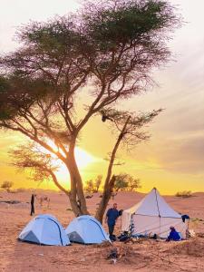 a group of people standing next to tents under a tree at Mhamid Tours in Mhamid