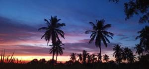 Fotografie z fotogalerie ubytování Gopi Abode Hampi v destinaci Hampi