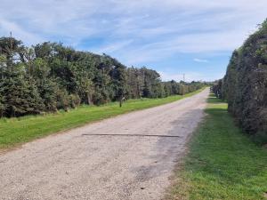 una strada sterrata vuota con alberi ai lati di 8 person holiday home in Løkken-By Traum a Nørre Lyngby