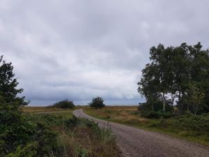 eine unbefestigte Straße mitten auf einem Feld in der Unterkunft 6 person holiday home in Hadsund-By Traum in Odde