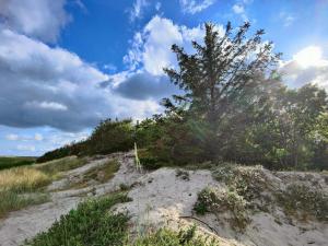 Naturlandskabet i nærheden af feriehuset