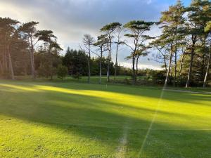 une vue d'un green de golf avec des arbres en arrière-plan dans l'établissement 10 person holiday home in Thisted-By Traum, à Klitmøller