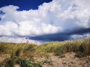 a kite flying on top of a grassy field at 5 person holiday home in Rødby-By Traum in Rødby