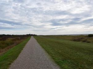 a gravel road in the middle of a field at 5 person holiday home in Rødby-By Traum in Rødby