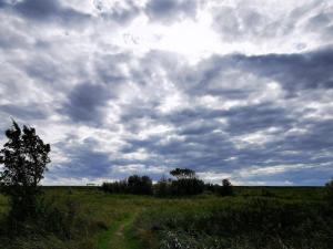 a cloudy sky over a field with a dirt road at 5 person holiday home in Rødby-By Traum in Rødby