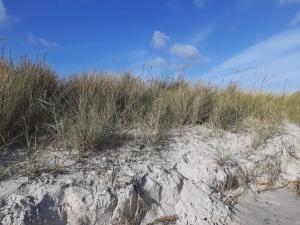 Příroda nedaleko prázdninového domu