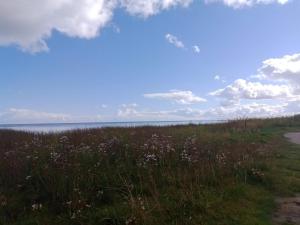 Příroda nedaleko prázdninového domu + 29 fotografií