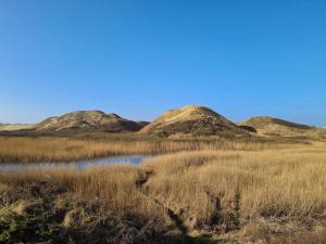 Imagine din galeria proprietății Cozy Beach House in Kjul - By Traum Ferienwohnungen în Hirtshals