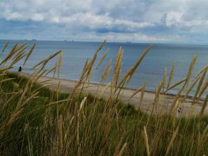 Příroda nedaleko prázdninového domu