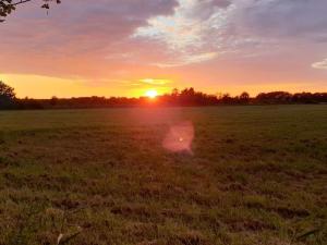 einen Sonnenuntergang auf einem Feld mit Sonnenuntergang in der Unterkunft 10 person holiday home in Væggerløse in Bøtø By