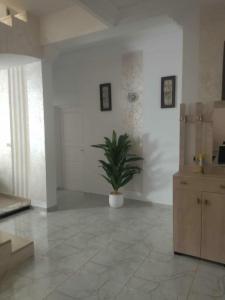 Φωτογραφία από το άλμπουμ του Villa Andreea Paradise σε Houmt Souk