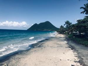 einen Sandstrand mit Palmen und dem Meer in der Unterkunft Tropikaz in Le Diamant