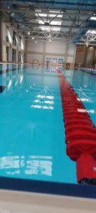 a swimming pool with a red line in it at Centar Crnjanski 2 in Jagodina