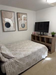 Cozy Studio Next To TPA Airport في تامبا: غرفة نوم مع سرير وتلفزيون بشاشة مسطحة