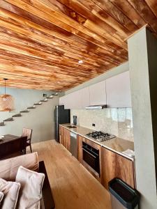 Kuchyň nebo kuchyňský kout v ubytování Villa NAIO Palomino