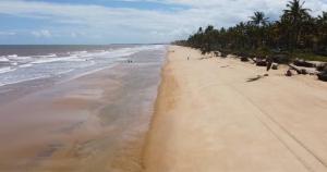 une vue aérienne d'une plage avec des palmiers dans l'établissement Bangalôs na beira do rio e a poucos metros do mar, à Belmonte