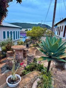 Příroda nedaleko prázdninového domu