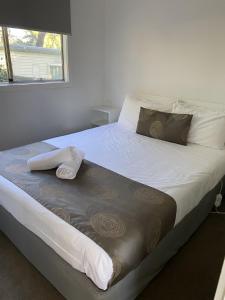 Ένα ή περισσότερα κρεβάτια σε δωμάτιο στο Geelong Holiday Park +37 φωτογραφίες
