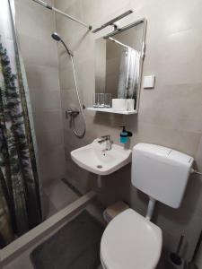 a bathroom with a toilet and a sink and a shower at Rooms San in Velika Gorica
