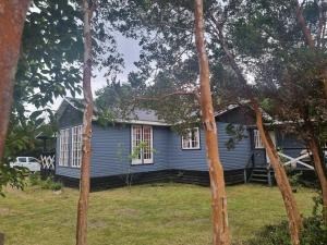 ein blaues Haus inmitten einiger Bäume in der Unterkunft Hospedaje y Cabañas Ensenada Puerto Varas in La Ensenada