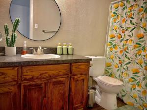 a bathroom with a sink and a toilet and a mirror at KING bed central worker-friendly LongStayDiscount in Sherman +3 photos