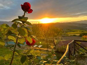 卡波罗纳Casa Vacanze Il Puggio的玫瑰花丛,背景是日落