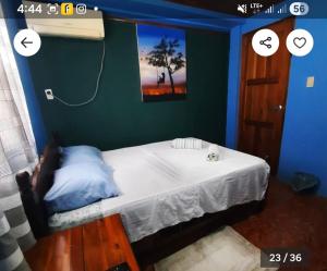 une chambre avec un lit dans une pièce bleue dans l'établissement Hostal Fernánda, à Corn Island