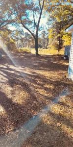 Φωτογραφία από το άλμπουμ του McAfee σε Decatur