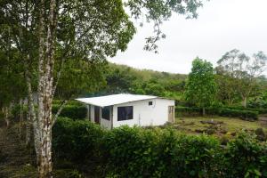 ein kleines weißes Haus auf einem Feld mit einem Baum in der Unterkunft Shark House in Bellavista