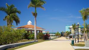 una palma davanti a un edificio di Sunsets Waterfront Saltwater Heated Pool Retreat a Punta Gorda