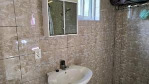 a bathroom with a sink and a mirror at Island Nest Apartment in Willemstad