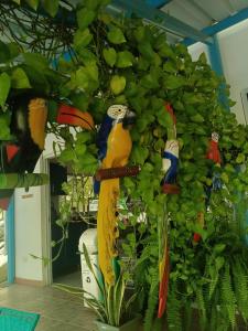 Billede fra billedgalleriet på Casa Finca Mauka i Santa Marta