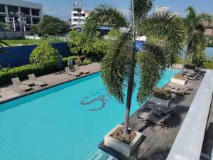 a swimming pool with a palm tree and lounge chairs at KozySpace in Davao City