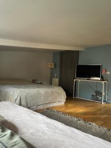 a room with two beds and a flat screen tv at Suite de 35 m2 in Les Lilas