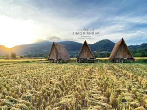 a group of huts in a field of wheat at Khao Kiang Na เขา เคียง นา in Ban Muang Kut