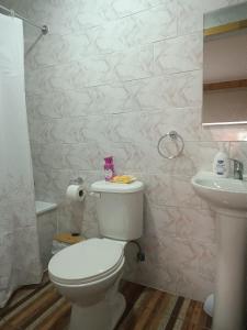 a bathroom with a white toilet and a sink at Hospedaje Angaroa a 15 min del centro in Puerto Montt