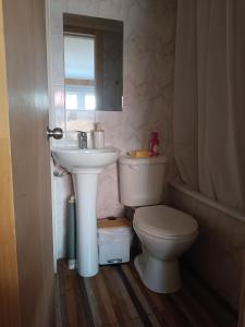 a bathroom with a toilet and a sink and a mirror at Hospedaje Angaroa a 15 min del centro in Puerto Montt