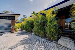 una casa con un mucchio di piante davanti di Gaviota Suite 3 a Puerto Viejo Altre 8 foto