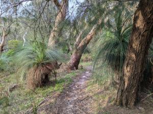 Gallery image of A Hidden Gem in Fingal