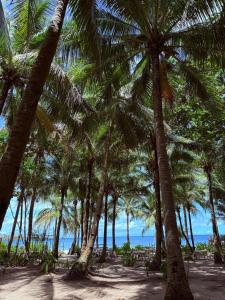 Φυσικό τοπίο κοντά σε αυτή η παραθεριστική κατοικία