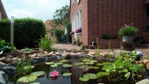 Zahrada ubytování Appartement 1 im Haus Wattenblick + 3 fotografie