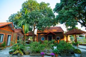 Zahrada ubytování Tam Coc Minh Quân Homestay