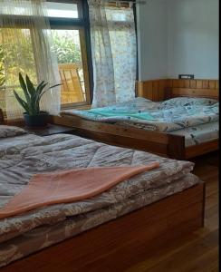 two twin beds in a room with a window at Wanderlust Homestay By StayApart in Kalimpong