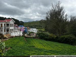 Un gran campo de plantaciones de té en un pueblo. en Hideout nest, en Ooty
