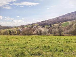 a field of green grass with trees in the background at Wohnung in Densberg nahe Kellerwald in Densberg +33 photos