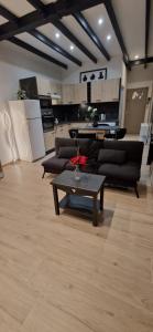 a living room with couches and a table and a kitchen at Chic & Design Studio for 3 people in Thonon-les-Bains +6 photos